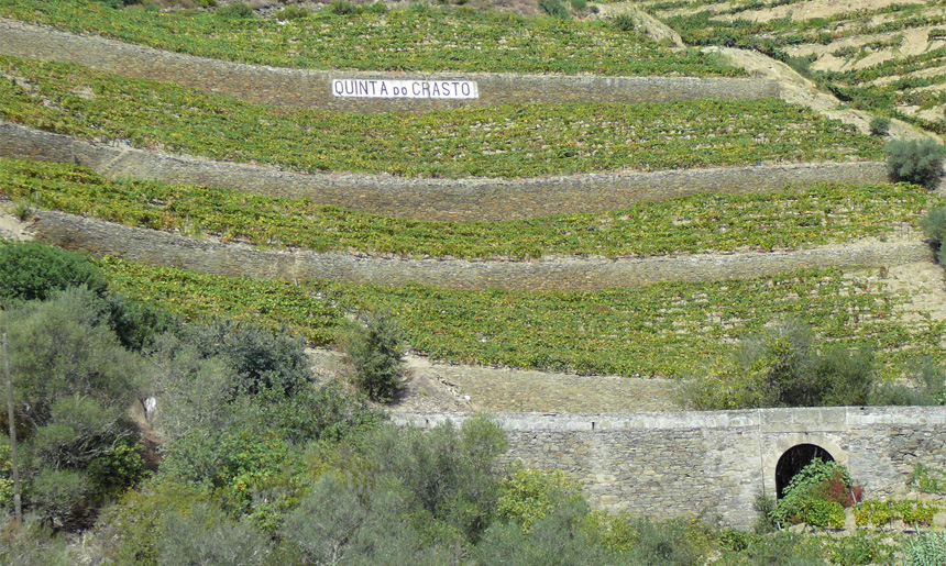 Quinta do Crasto vinice ponte